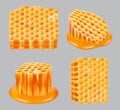 Honeycomb. Healthy wax portion yellow close up pieces of honey nutrition honeycomb realistic cells decent vector