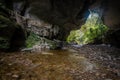 Honeycomb Hill Arch, New Zealand Royalty Free Stock Photo