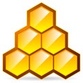 Honeycomb, honey cell illustration / icon isolated. Organic swee