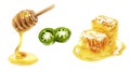 Honeycomb, honey dipper, jalapeno set watercolor isolated on white background Royalty Free Stock Photo