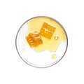Honeycomb with honey on petri dish