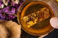 Honeycomb in the honey Royalty Free Stock Photo