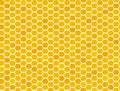 Honeycomb honey yellow and white seamless pattern Vector hexagons of geometric shapes mosaic background