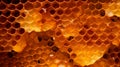 honeycomb