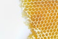 Honeycomb isolated Royalty Free Stock Photo