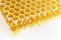 Honeycomb isolated Royalty Free Stock Photo