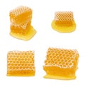 Honeycomb isolated. Set of honeycomb parts with liquid bee natural yellow honey isolated on white background Royalty Free Stock Photo