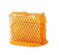 Honeycomb isolated single piece with liquid honey on white background Royalty Free Stock Photo