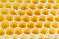 Honeycomb isolated on white Royalty Free Stock Photo