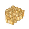 Honeycomb isolated on white background. Hexagonal prismatic wax cells built by bees for honey storage. Decorative design