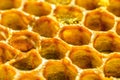 Honeycomb macro