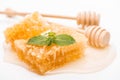 Honeycomb with mint and honey near wooden honey dippers isolated on white.