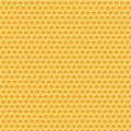 Honeycomb monochrome honey seamless pattern. Vector stock illustration