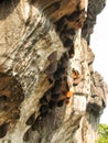 Honeycomb nest on the rocks,