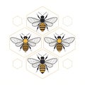 Honeycomb pattern featuring four bees with black and yellow stripes and transparent wings on white background Royalty Free Stock Photo