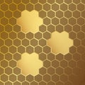 Honeycomb pattern with frames. Vector illustration.Hexagonal cell texture. Geometric design. Modern stylish abstract texture. Temp Royalty Free Stock Photo