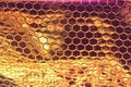 honeycomb patterned holographic sheet
