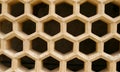 Honeycomb patterned windowcover. Amber Fort, India