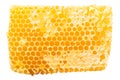 Honeycomb piece. Honey slice isolated on white background