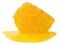 Honeycomb piece. Honey slice isolated on white background