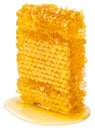 Honeycomb piece. Honey slice isolated on white background with clipping path Royalty Free Stock Photo