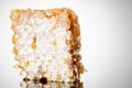 Honeycomb piece. Honey slice on white background. Package design element