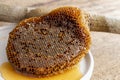 Honeycomb pieces close-up on the white plate with fresh liquid honey golden color beautiful from a bee hive. Food and healthy Royalty Free Stock Photo