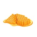 Honeycomb pieces, isolated yellow two comb slices with gold liquid honey, raw syrup