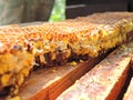 Honeycomb and pollen