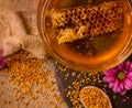 Honeycomb, pollen, propolis, honey concept