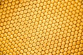 Honeycomb Royalty Free Stock Photo