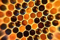 Honeycomb Royalty Free Stock Photo