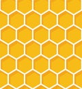 Honeycomb seamless pattern. Vector natural honey background.