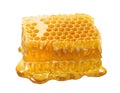 Honeycomb single piece. Honey slice isolated on white background