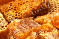 Honeycomb slice closeup background