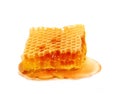 Honeycomb isolated on white background. Organic yellow honey closeup