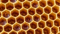 The honeycomb structure is made from beeswax and showcases the Royalty Free Stock Photo