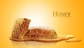 Honeycomb and sweet pure honey Royalty Free Stock Photo