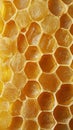 Honeycomb texture background Royalty Free Stock Photo