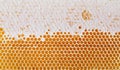 Honeycomb texture background. Top view. Bright yellow background.