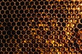 Honeycomb Texture Sweet nectar not yet extracted from the honeycomb. Background of honeycombs in dark golden hues. Macro shooting