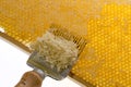 Honeycomb with uncapping fork close up Royalty Free Stock Photo