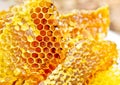 Honeycomb wax Royalty Free Stock Photo