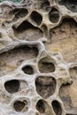 Honeycomb weathering patterns in the Yehliu Geopark, New Taipei, Taiwan, China