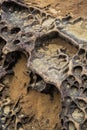 Honeycomb weathering patterns in the Yehliu Geopark, New Taipei, Taiwan, China