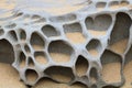 Honeycomb Weathering in Sandstone on Beach