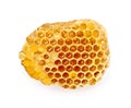 Honeycomb on white backgrounds
