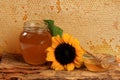 Honeycomb in a wooden frame decorated with sunflower and glass jar of honey on a wooden background