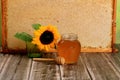 Honeycomb in a wooden frame decorated with sunflower and glass jar of honey on a wooden background