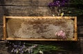 Honeycomb and wooden honey dipper. Raw honey. Natural honey, closeup view Royalty Free Stock Photo